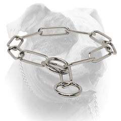 Choke chain collar for American Bulldog training