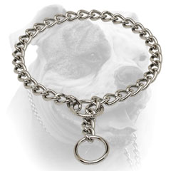 High quality American Bulldog dog collar