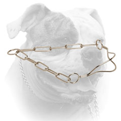 High quality American Bulldog show dog collar