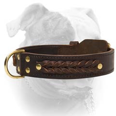 American Bulldog Braided Decorative Leather Collar