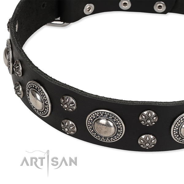 Snugly fitted leather dog collar with almost unbreakable rust-proof buckle