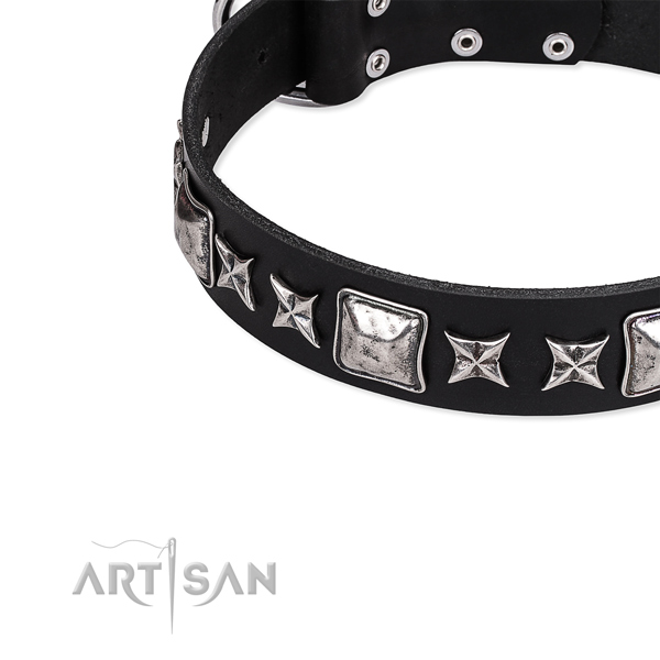 Full grain natural leather dog collar with stunning embellishments