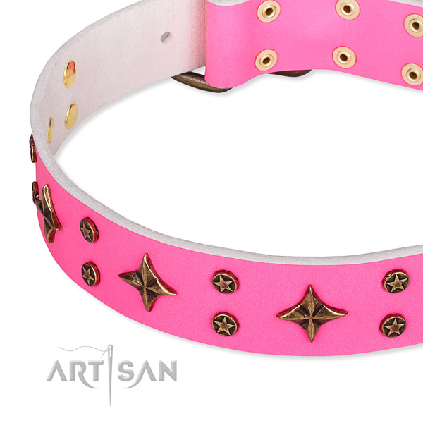 Full grain natural leather dog collar with unique decorations