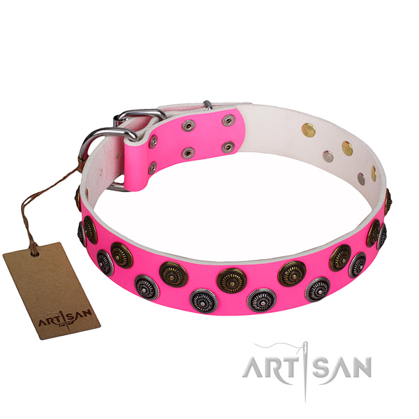 Remarkable full grain leather dog collar for daily use