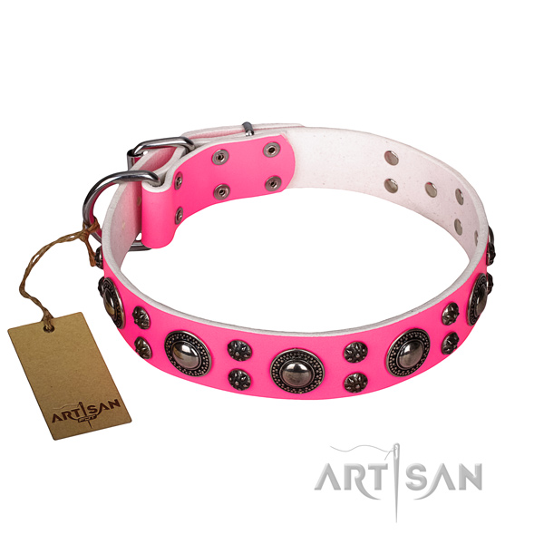 Fashionable full grain genuine leather dog collar for everyday walking