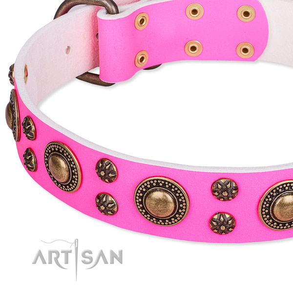 Natural genuine leather dog collar with amazing studs