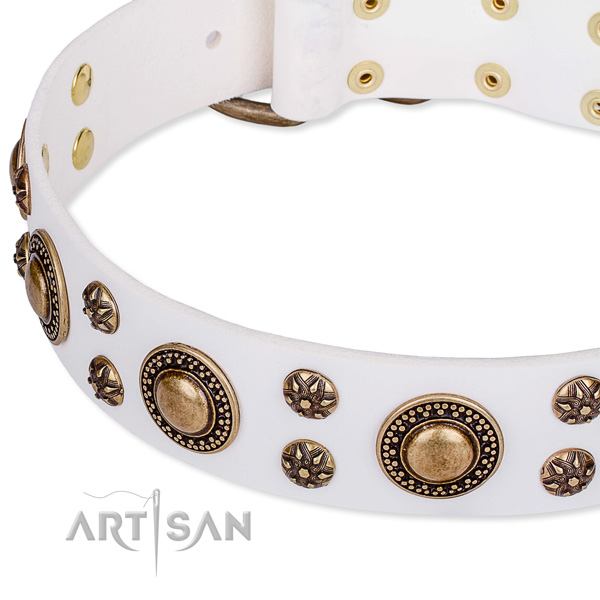 Leather dog collar with stunning adornments
