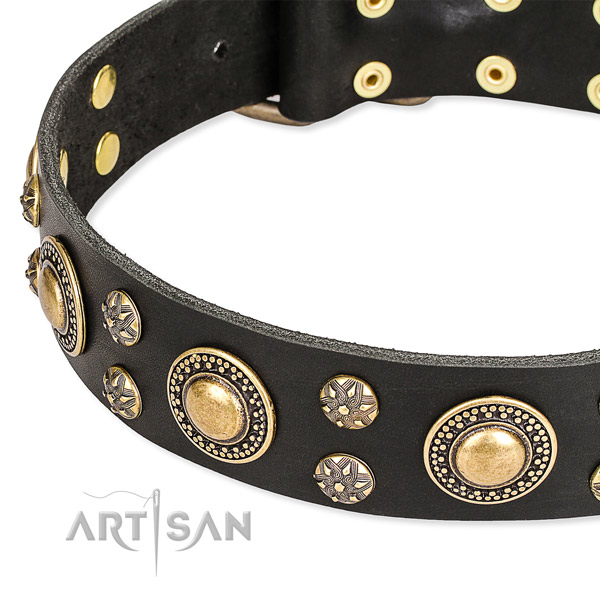Walking leather collar with corrosion proof buckle and D-ring