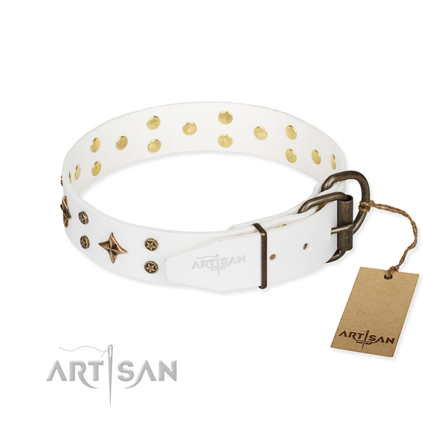 Everyday walking genuine leather collar with adornments for your dog