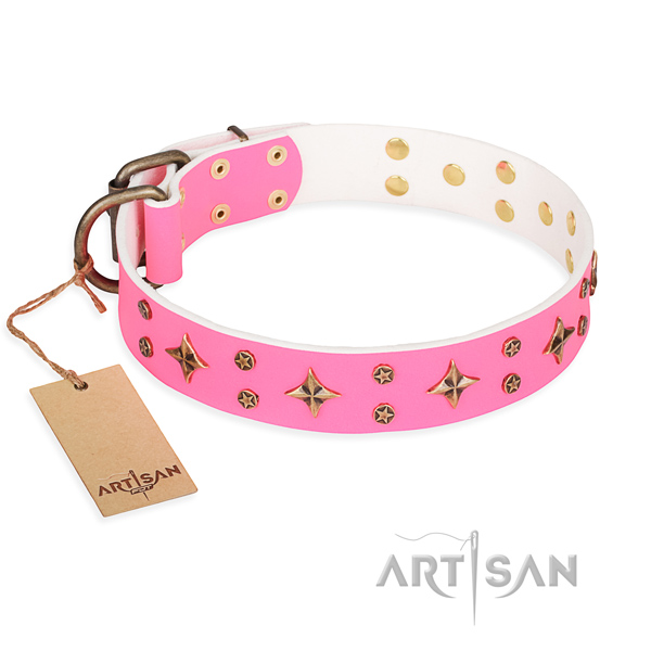 Fashionable genuine leather dog collar for daily walking