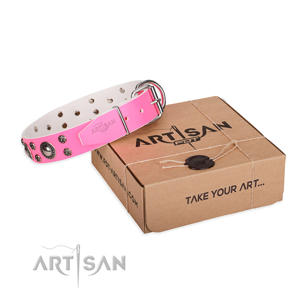 Trendy full grain natural leather dog collar for daily use