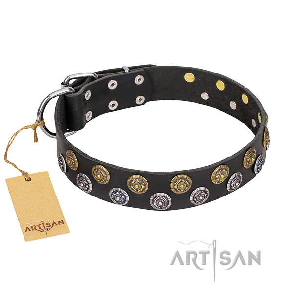 Amazing full grain genuine leather dog collar for everyday walking