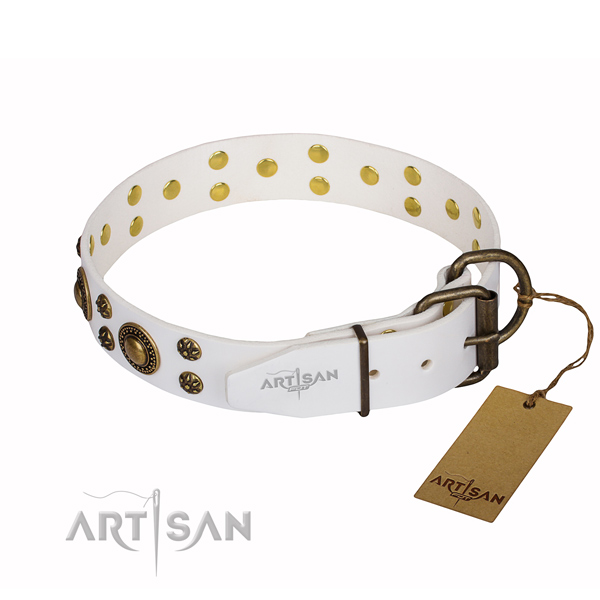 Remarkable full grain leather dog collar for handy use
