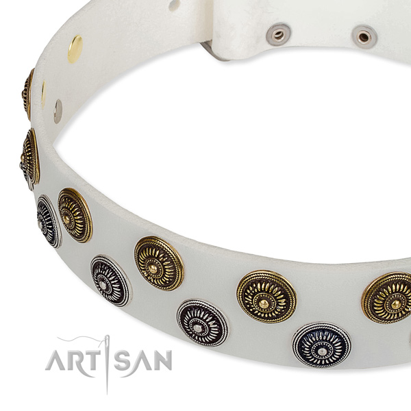 Genuine leather dog collar with exceptional adornments