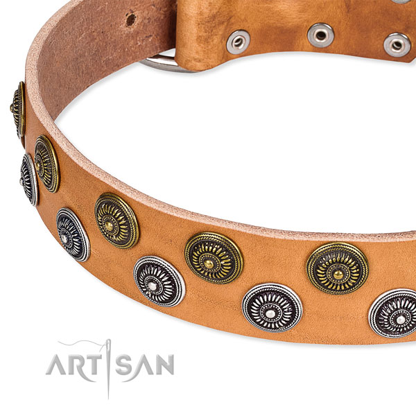 Genuine leather dog collar with trendy embellishments