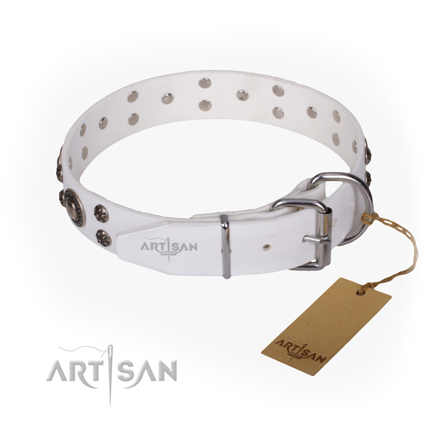 Everyday use leather collar with decorations for your dog