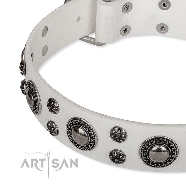 Stylish walking genuine leather collar with rust resistant buckle and D-ring