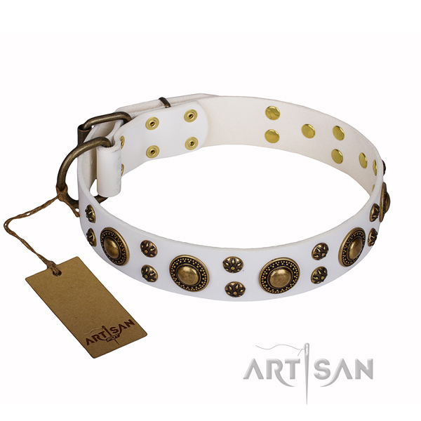 Everyday walking full grain natural leather collar with embellishments for your canine