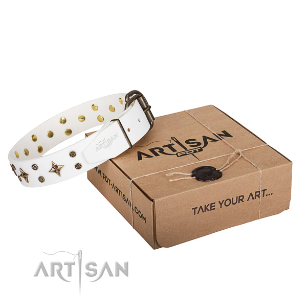Embellished genuine leather dog collar for walking