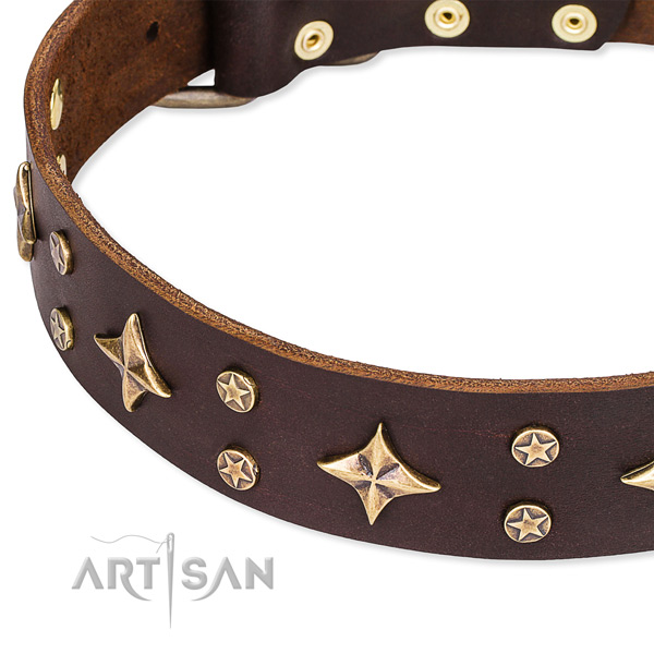 Full grain genuine leather dog collar with incredible embellishments
