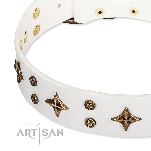 Full grain natural leather dog collar with awesome studs