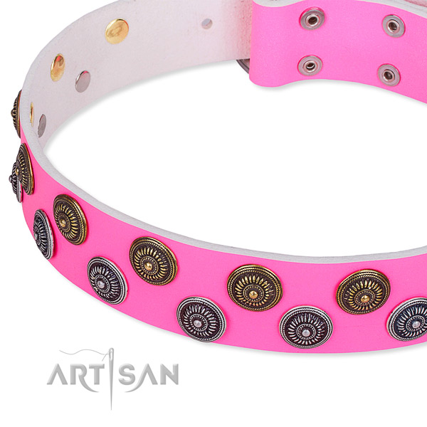 Full grain leather dog collar with fashionable studs