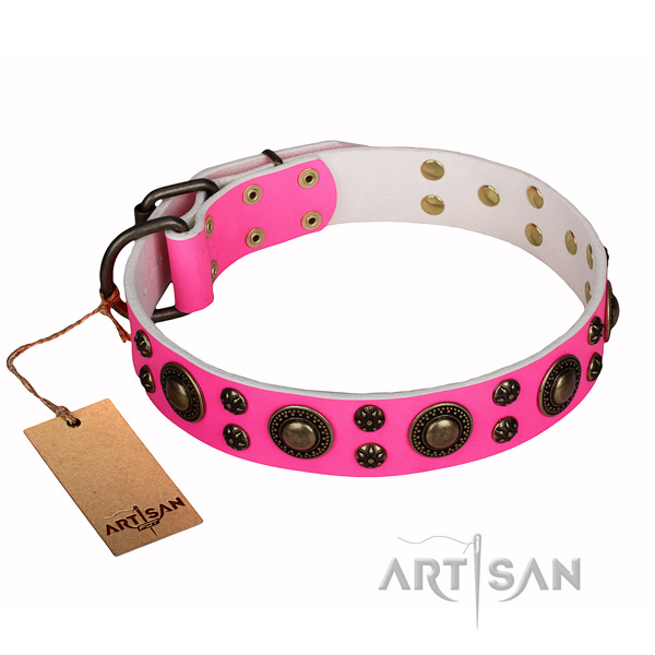 Daily walking leather collar with embellishments for your doggie