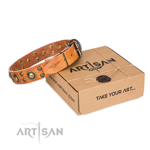 Full grain natural leather dog collar with decorations for everyday use