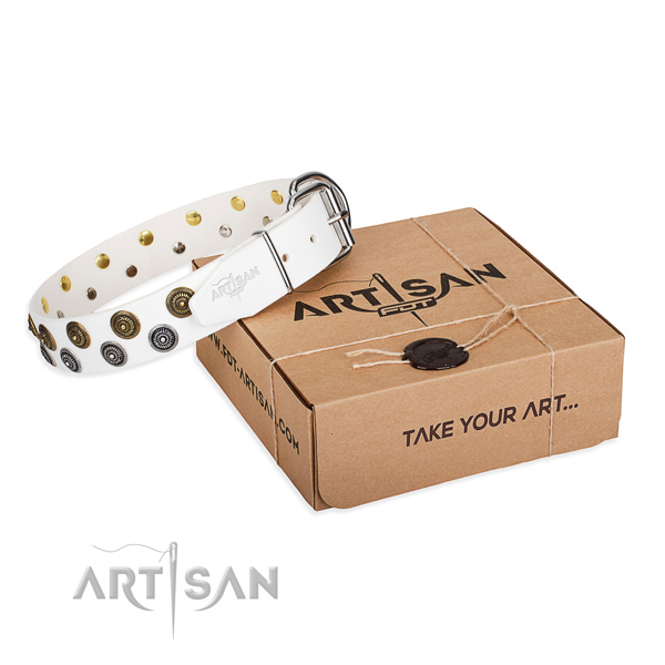 Full grain natural leather dog collar with adornments for handy use