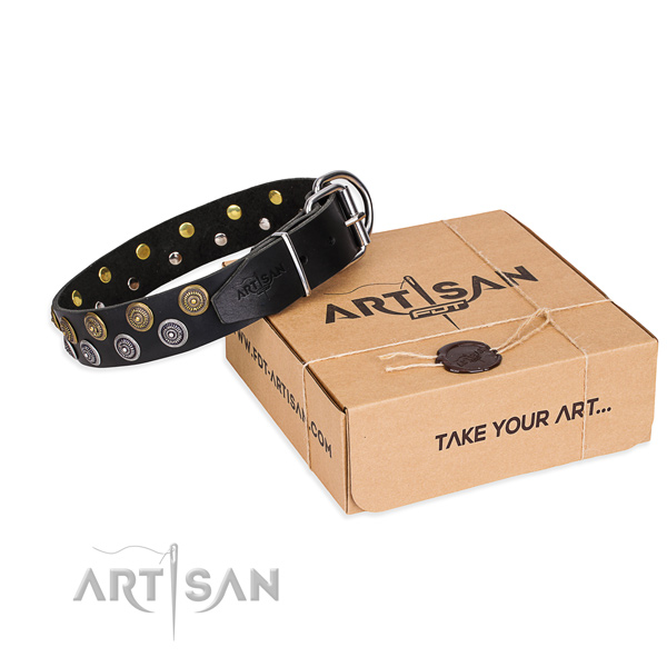 Natural genuine leather dog collar with embellishments for daily walking