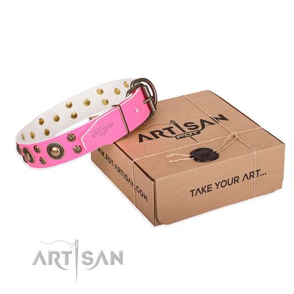 Full grain natural leather dog collar with decorations for daily walking
