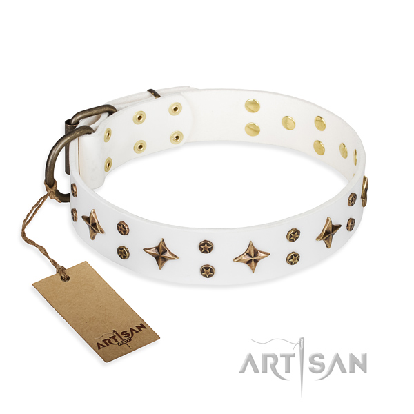 Impressive full grain leather dog collar for everyday walking
