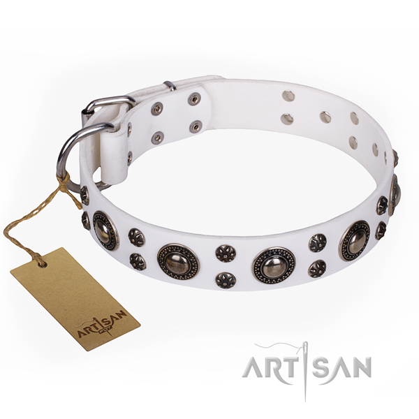 Amazing leather dog collar for everyday walking