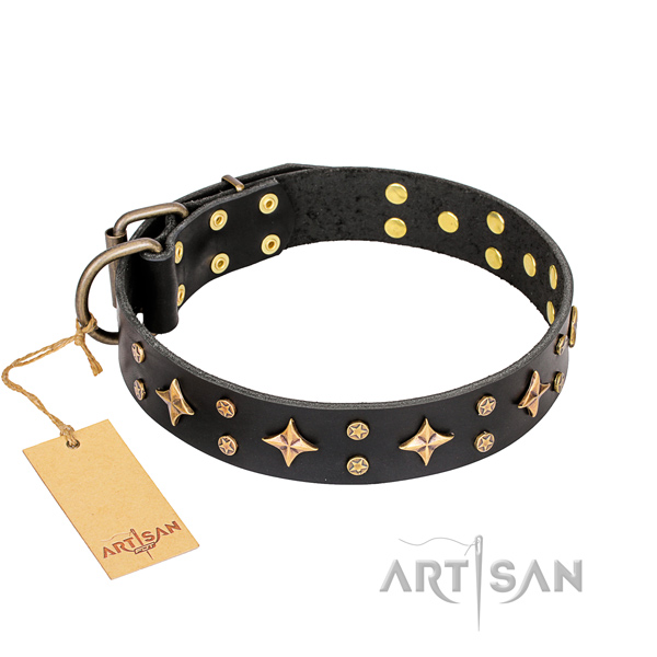 Remarkable full grain genuine leather dog collar for daily walking