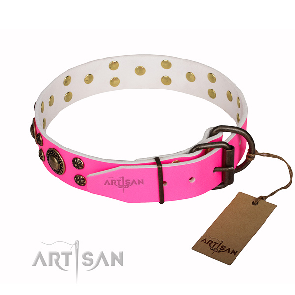 Stunning full grain genuine leather dog collar for daily use