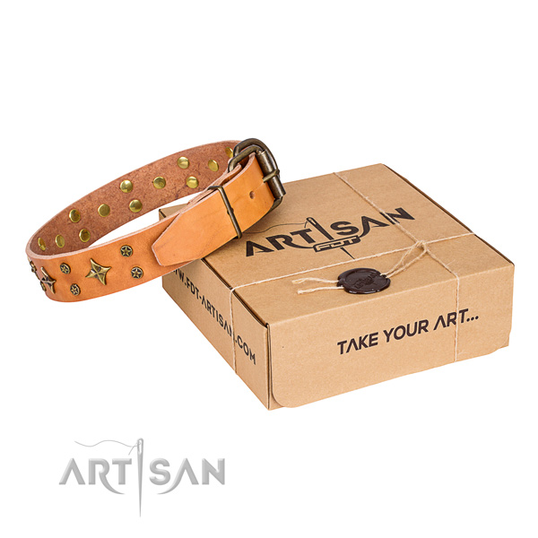 Studded full grain leather dog collar for comfy wearing