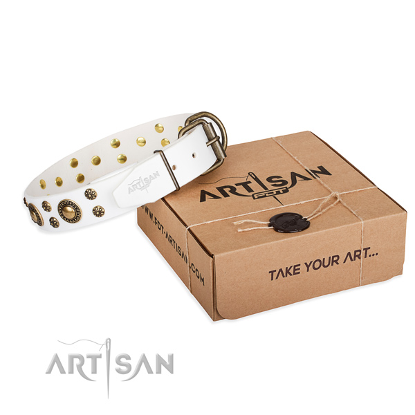 Leather dog collar with studs for daily use