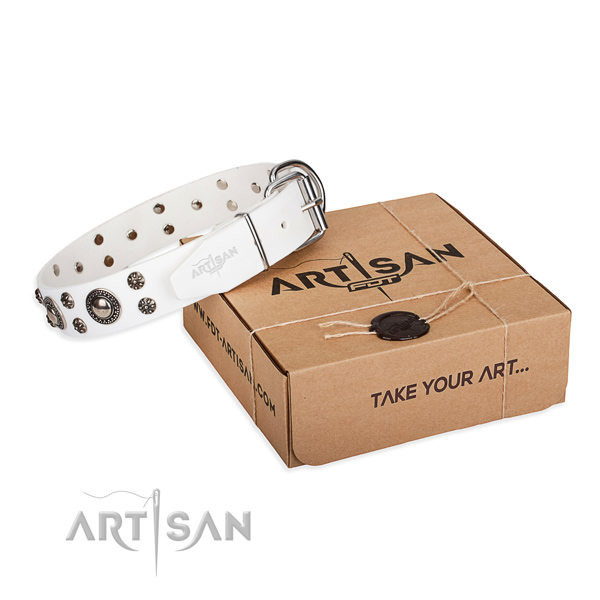 Finest quality genuine leather dog collar for everyday walking