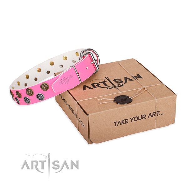 Embellished full grain natural leather dog collar for everyday use