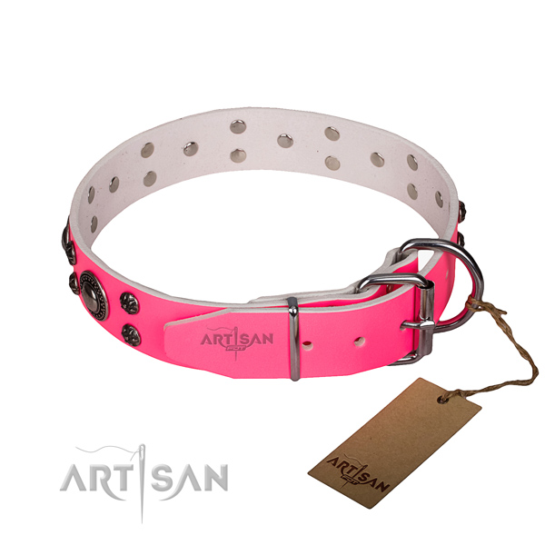 Daily use full grain genuine leather collar with strong buckle and D-ring