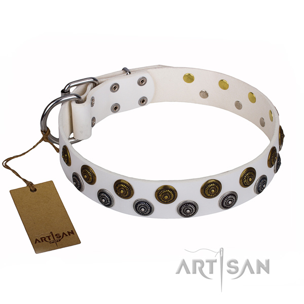 Extraordinary full grain natural leather dog collar for walking