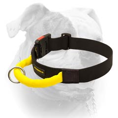 tactical dog collar with handle
