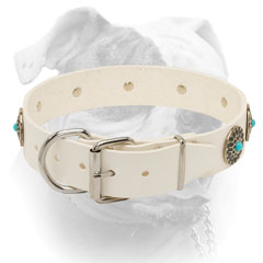 Nickel plated buckel and D-ring for white leather collar for American Bulldog