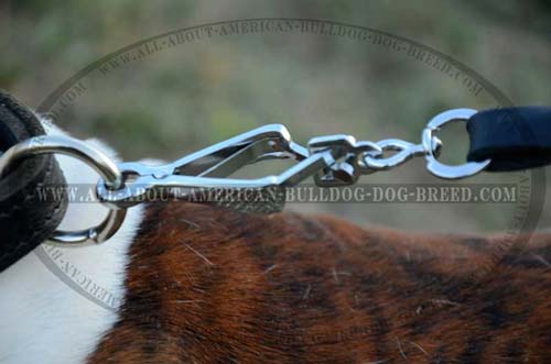 Durable O-ring for leash attachment