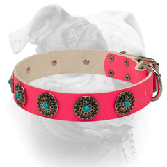 Luxury blue stones for pink leather American Bulldog collar