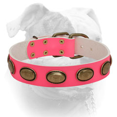 Luxury massive oval plates for pink leather collar for American Bulldog