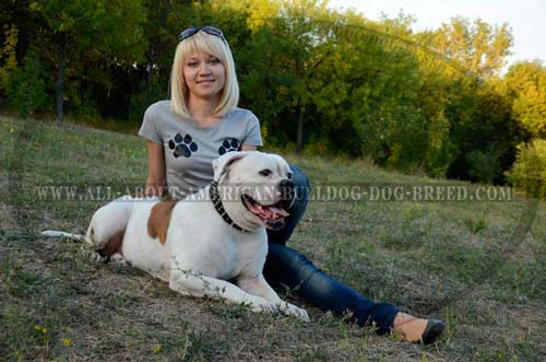 Shiny decoration for leather American Bulldog collar