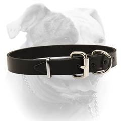 Buckled Leather Muzzle With D-ring.