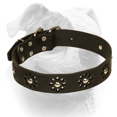 designer dog collar