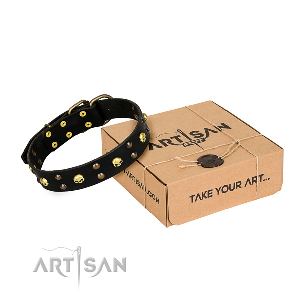 Daily leather dog collar with elegant decorations